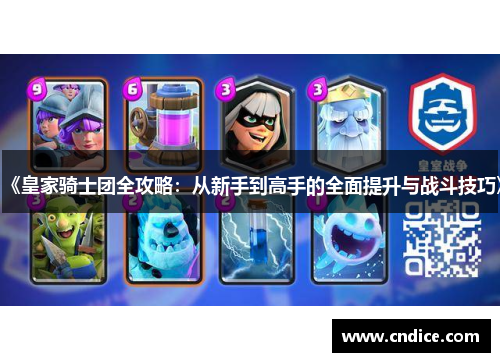 《皇家骑士团全攻略：从新手到高手的全面提升与战斗技巧》